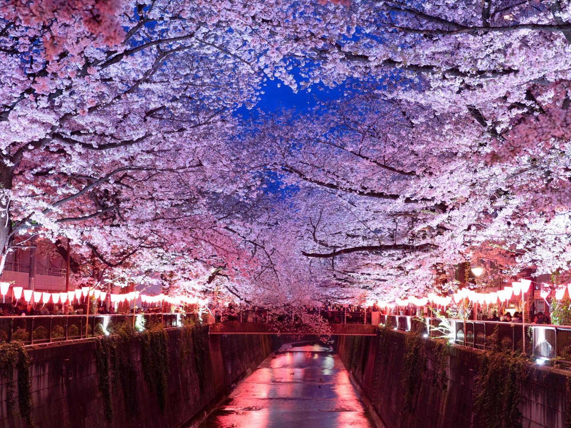 The Westin Tokyo Hotel Екстериор снимка