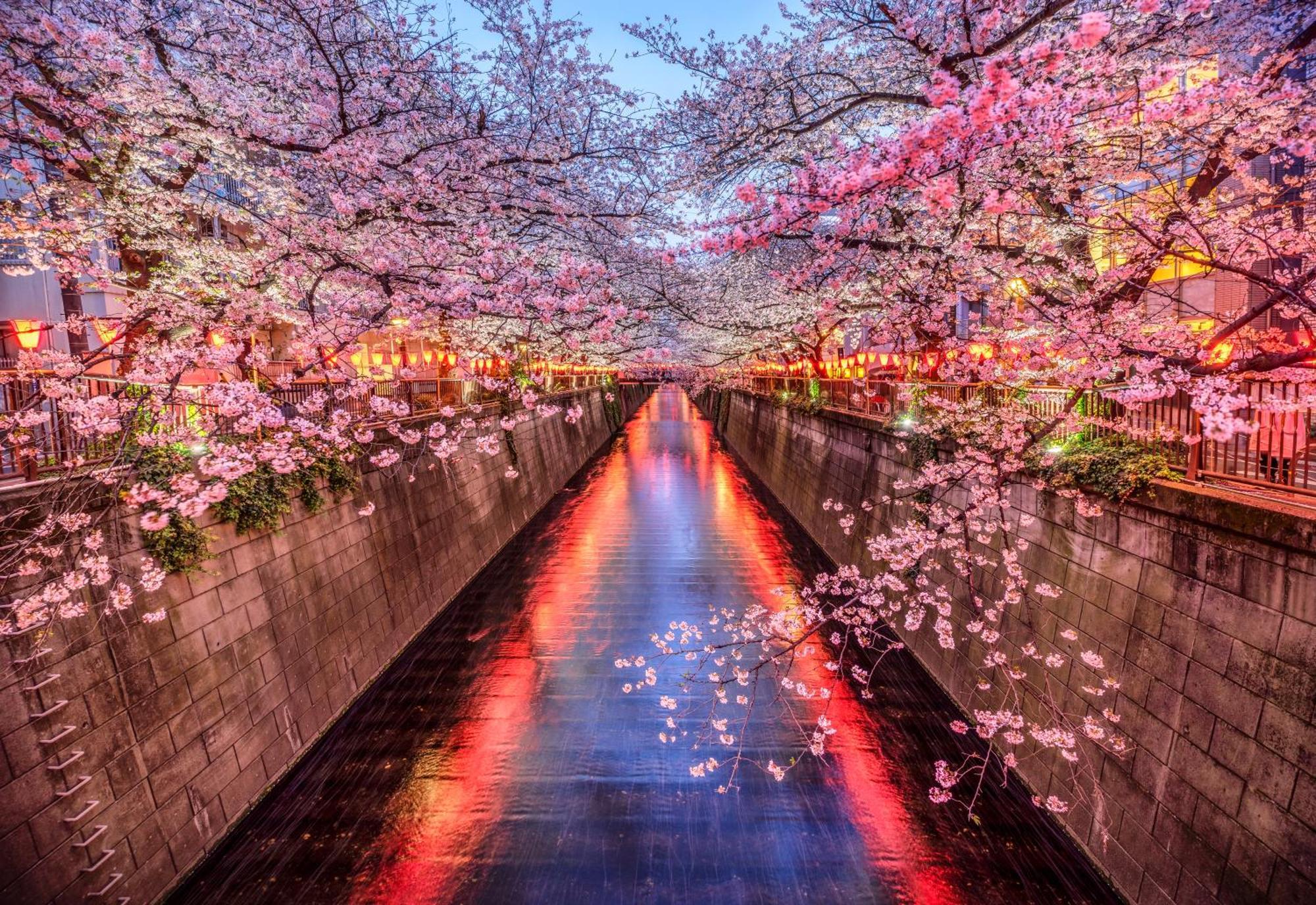 The Westin Tokyo Hotel Екстериор снимка